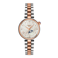 Orologio Tissot Donna Desir in Acciaio T1522232203600